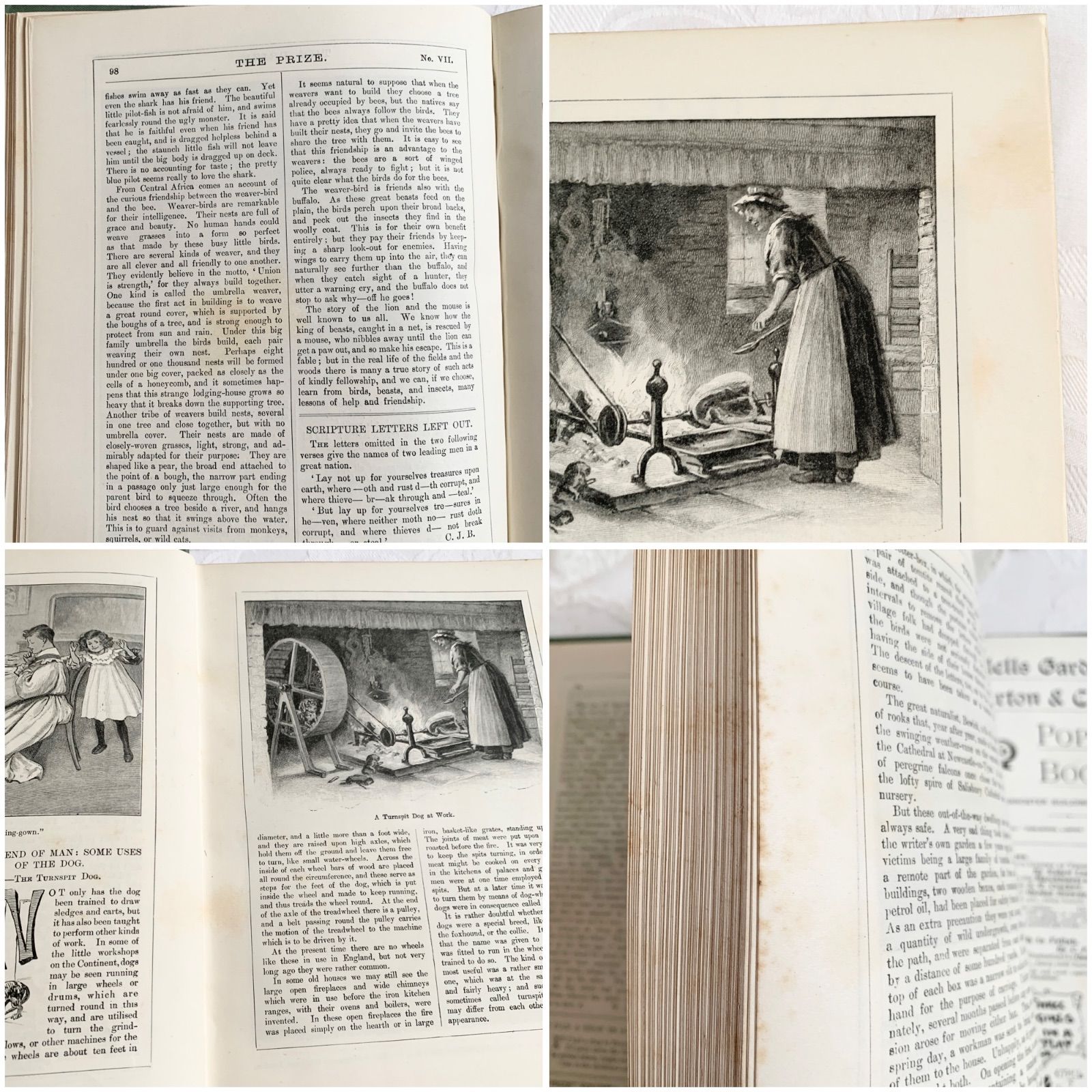 1908年 英国アンティーク児童書-美しいカラー&モノクロ挿絵を眺める