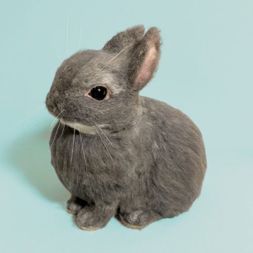 ネザーランドドワーフ　うさぎ　ウサギ　兎　羊毛フェルト　ハンドメイド　リアル　メモリアル　ペットロス