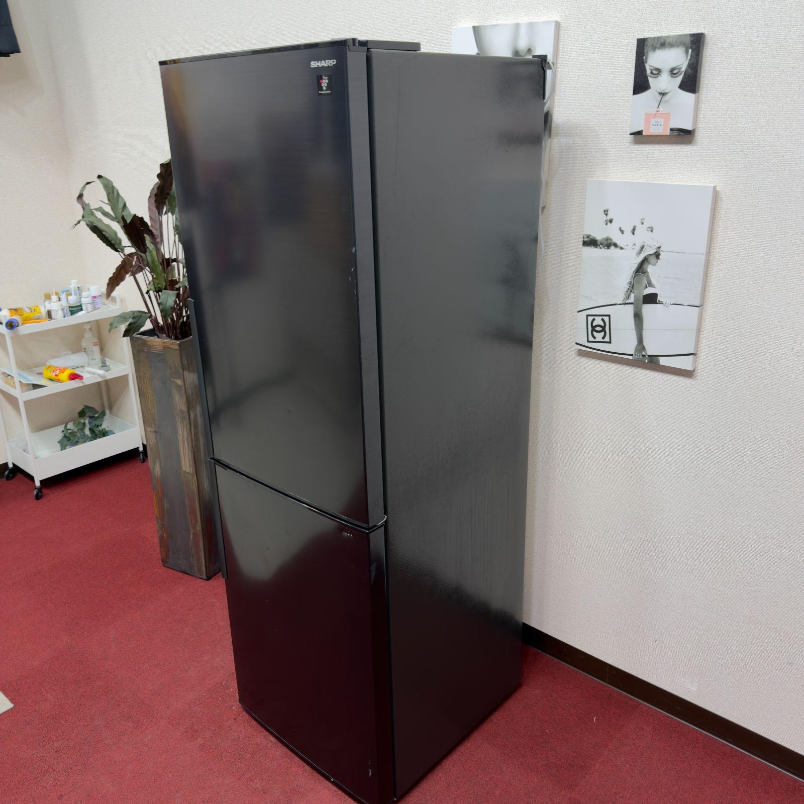 東京23区送料無料 美品シャープ2ドア冷蔵庫 2020年製右開き 洗浄/除菌 