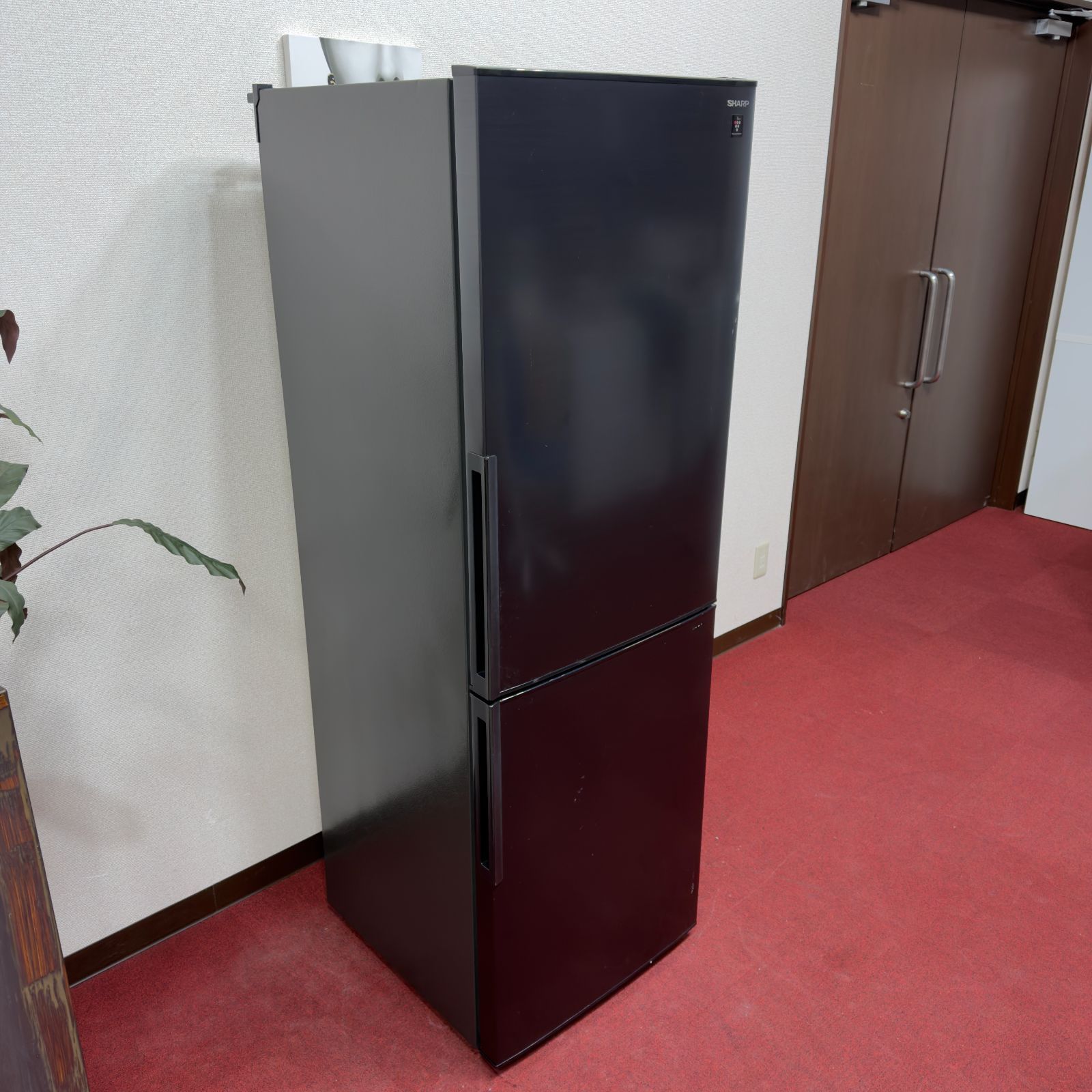 東京23区送料無料 美品シャープ2ドア冷蔵庫 2020年製右開き 洗浄/除菌 