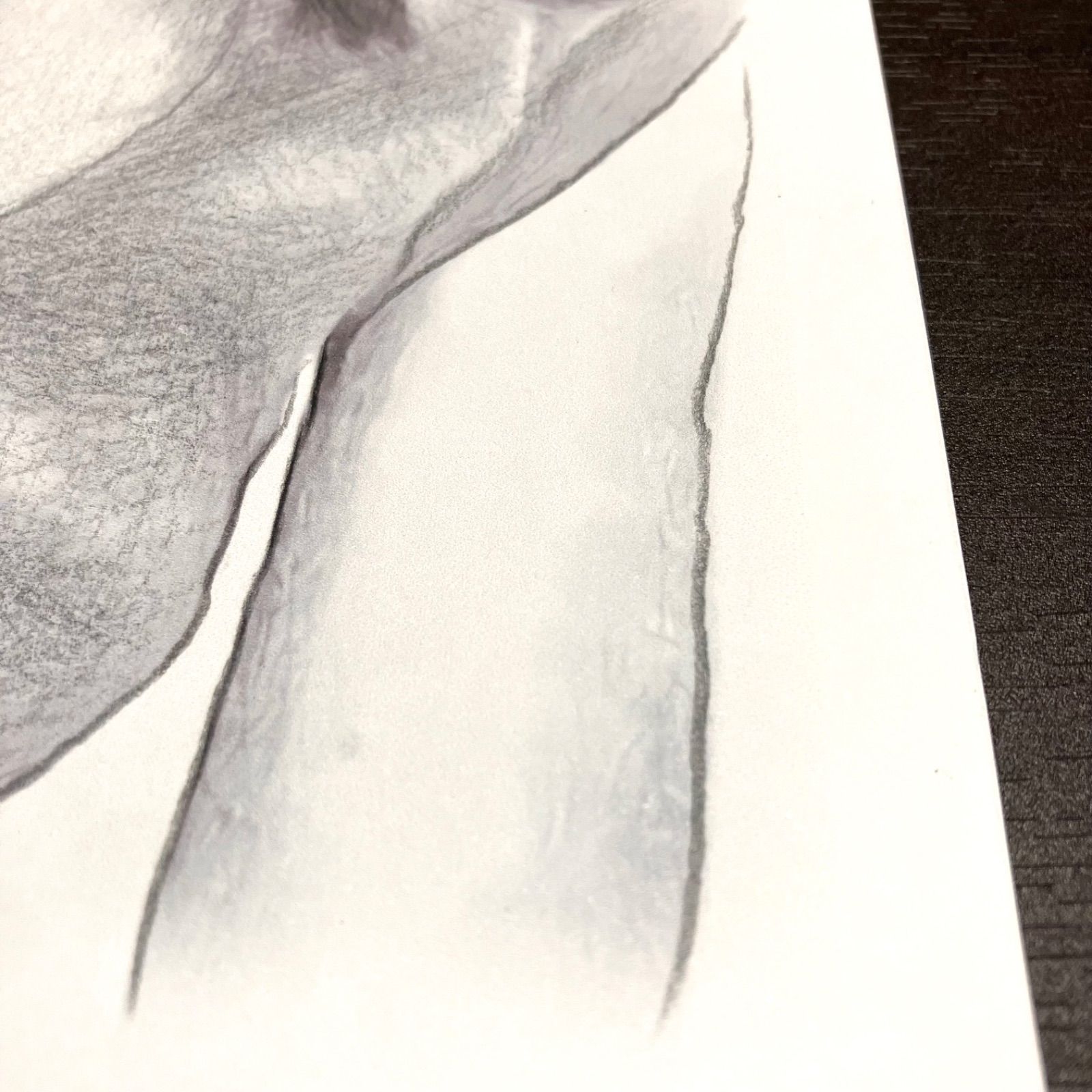 女優画14 額装品 額縁寸法33cm×24cm パステル、ペン、鉛筆画 定款付