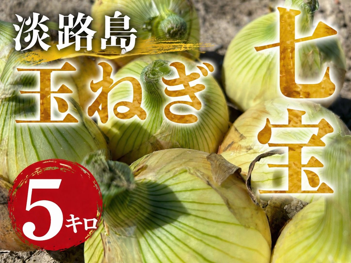 淡路島玉ねぎ七宝苗　カラーコンテナ一つ分　2500本程度　本日限り 淡路島玉ねぎ 七宝 5キロ - メルカリ