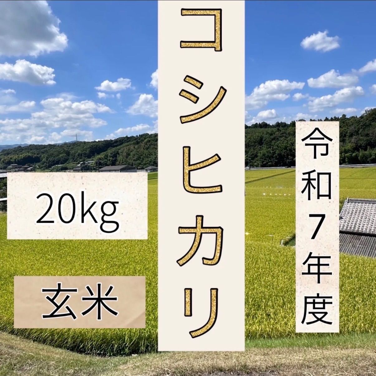 令和７年９月収穫コシヒカリ玄米２０kg コシヒカリ 米 魚沼産 令和7年 玄米20kg 新潟魚沼産 南魚沼 しおざわ産