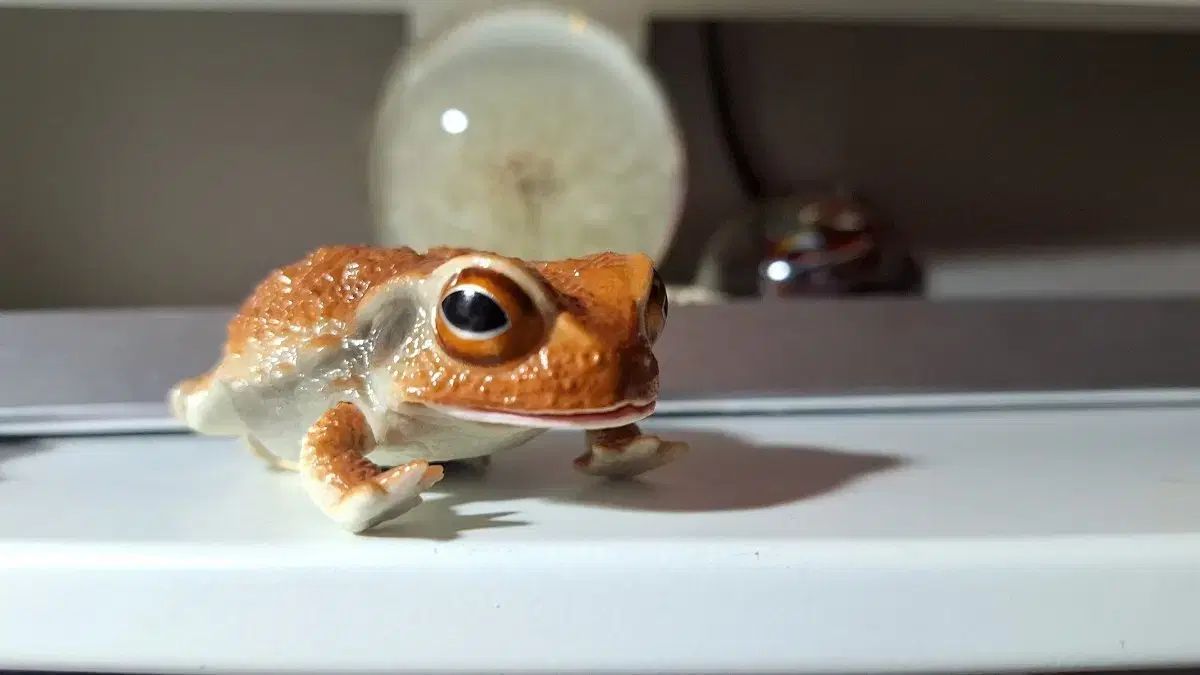 バンダイ いきもの大図鑑 ヒキガエル ガチャ