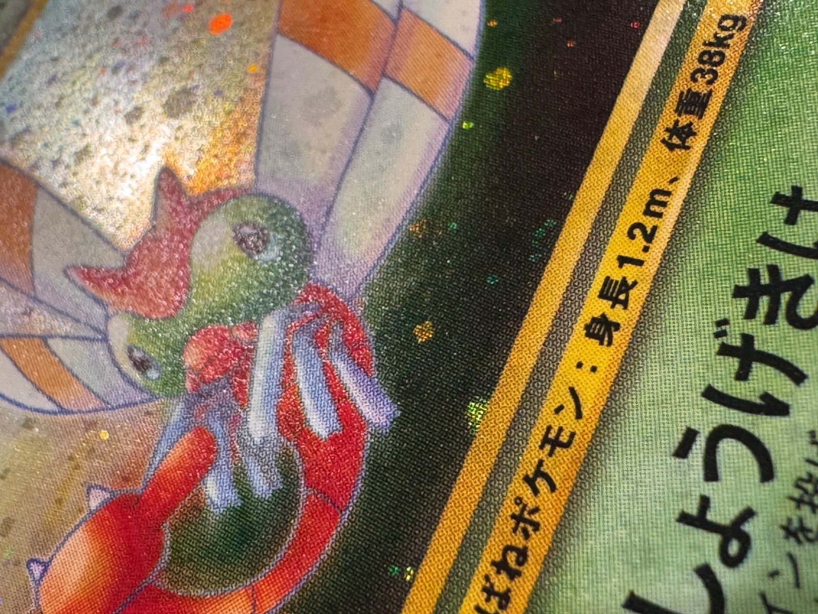 旧裏】ヤンヤンマ LV.32 ☆ No.193 遺跡をこえて… ポケモンカード