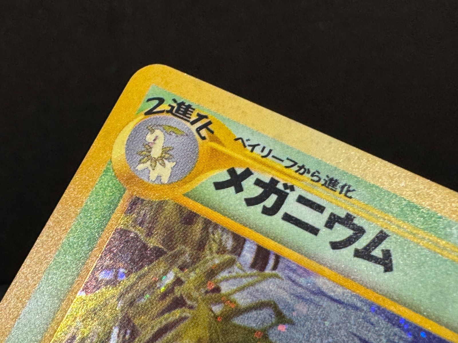 旧裏】メガニウム LV.57 ☆ No.154 金、銀、新世界へ… ポケモンカード