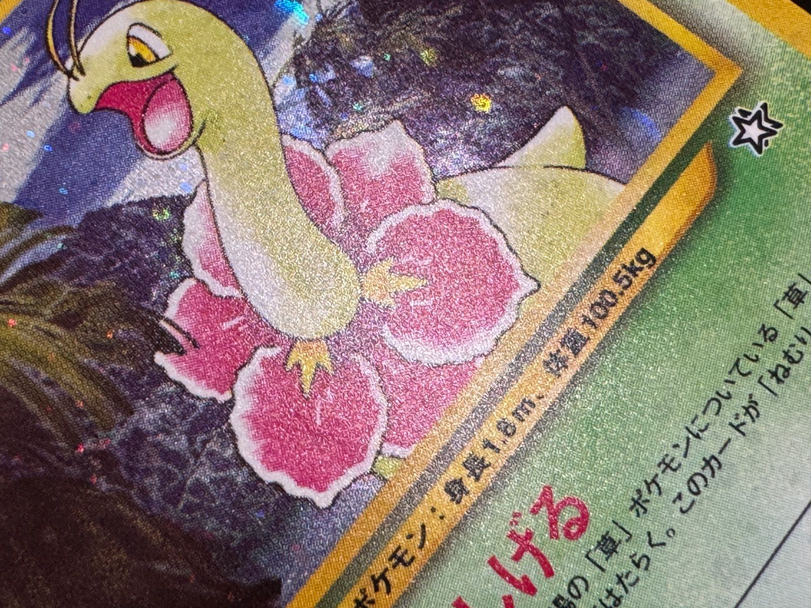 旧裏】メガニウム LV.57 ☆ No.154 金、銀、新世界へ… ポケモンカード