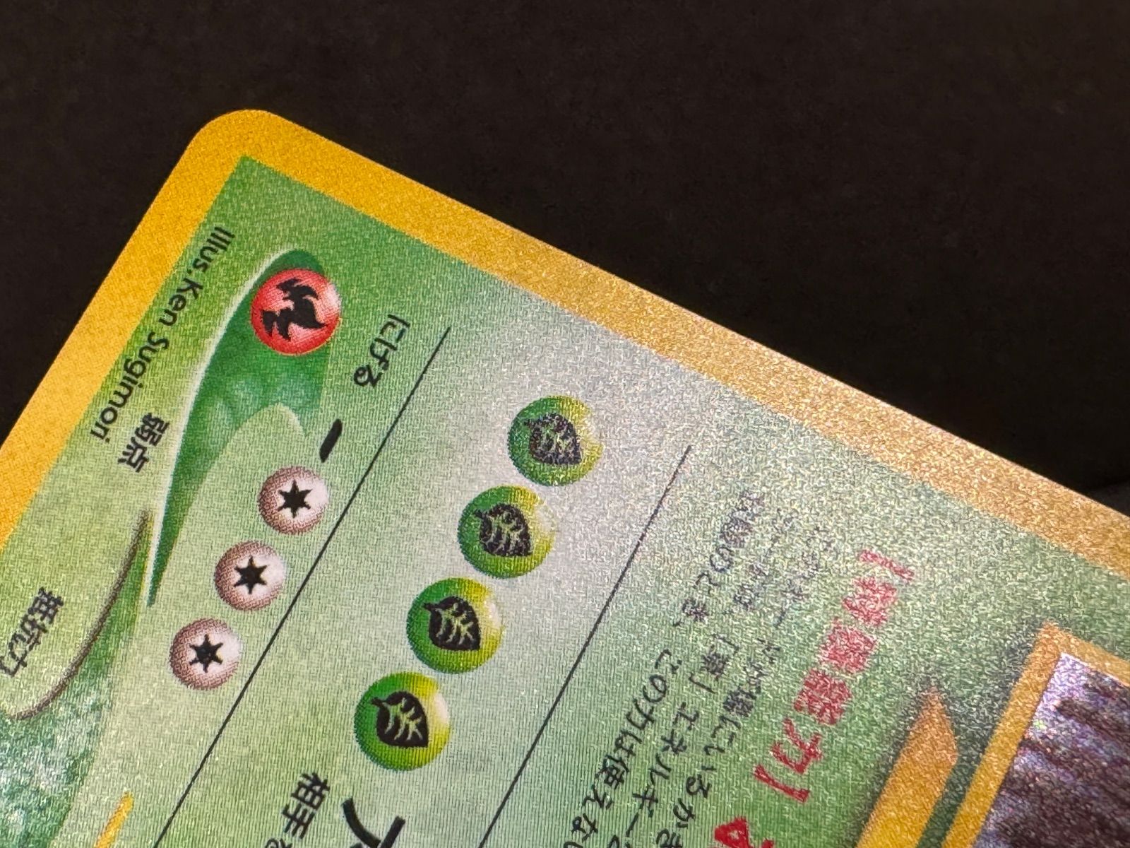 旧裏】メガニウム LV.57 ☆ No.154 金、銀、新世界へ… ポケモンカード