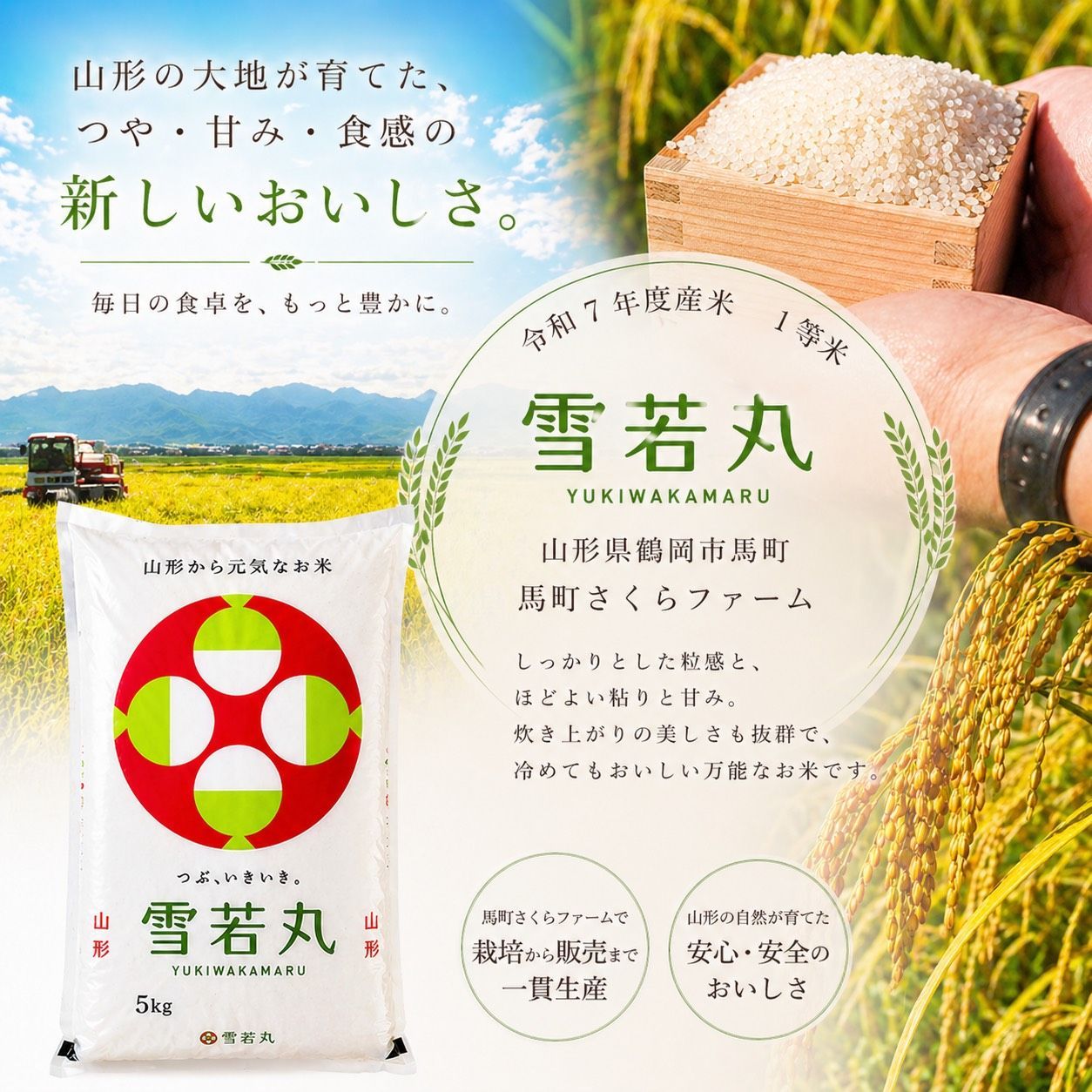 山形県鶴岡産 令和8年度産 1等米 雪若丸 精米10kg - メルカリ