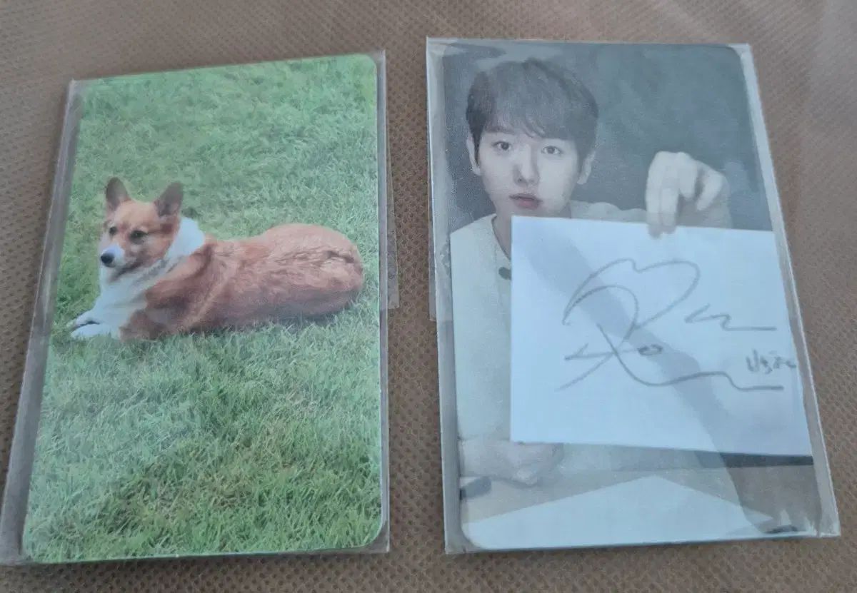 EXO ベクヒョン(BAEKHYUN) Bambi トレカ - メルカリ