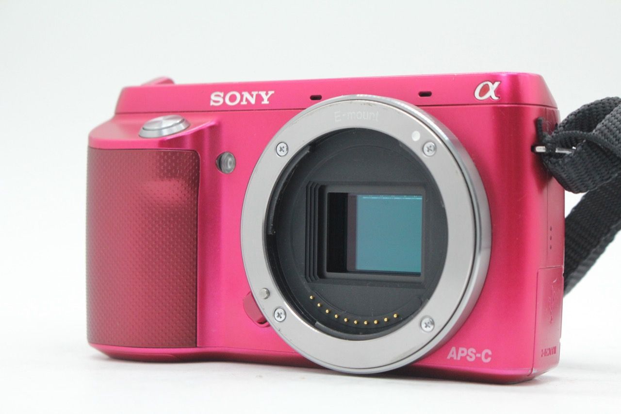 ☆良品☆ ソニー SONY NEX-F3 / E 18-55mm F3.5-5.6 OSS #4191@a
