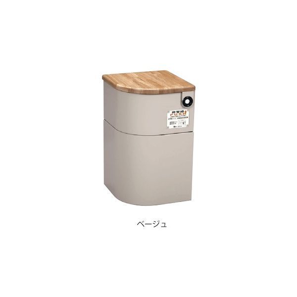 【新品・7営業日以内発送】杉田エース SUGITA ACE 648013 EV椅子 防災対応 トイレ用品付 天然木 ベージュ【沖縄離島販売不可】