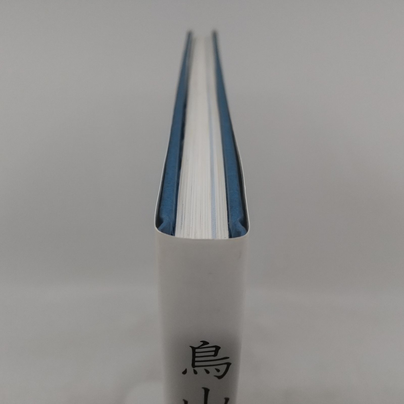 鳥山明 THE WORLD SPECIAL 1990年(平成2年)発行 イラスト集 集英社 函
