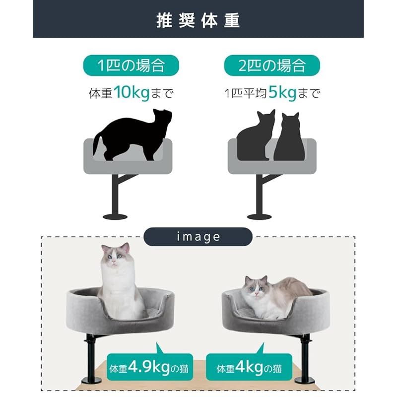 LOE(ロエ) 【日本企画】 新発想 キャットアーム 猫ベッド｜省スペース