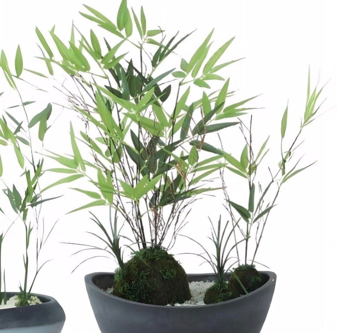 光触媒　人工観葉植物　ウォールグリーン　フェイクグリーン　ミニササボウル@ 光触媒 人工観葉植物 ウォールグリーン フェイクグリーン