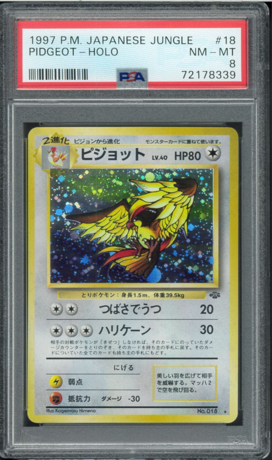 PSA8 ピジョット 旧裏 旧裏面 ホロ Holo LV.40 Pidgeot ポケモンカード