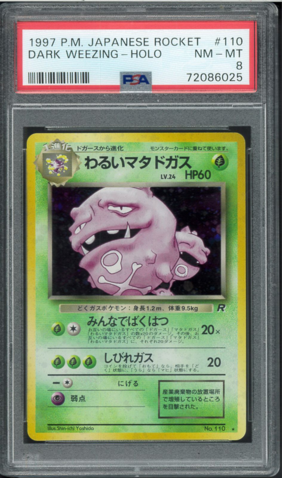 PSA8 わるいマタドガス 旧裏 旧裏面 ホロ Holo LV.24 Weezing ポケモン