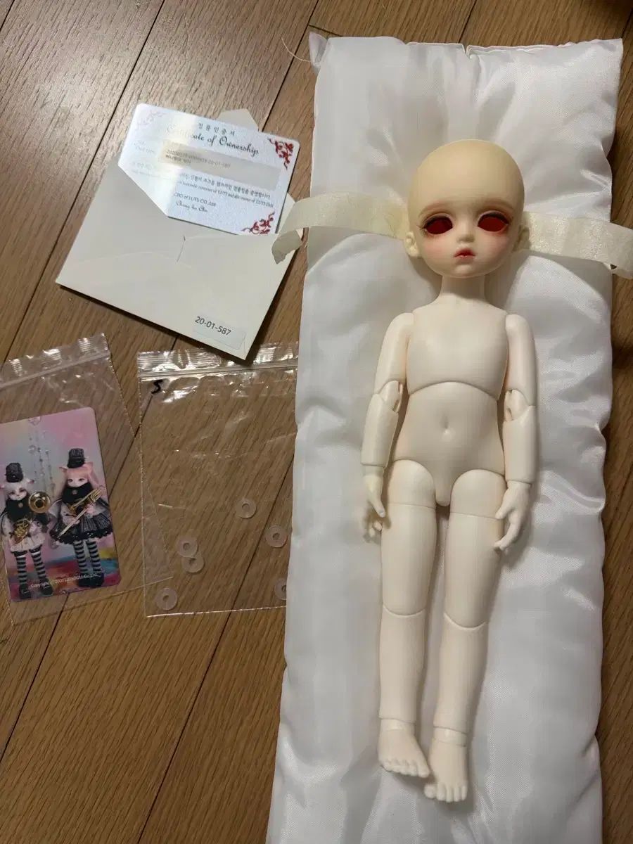コンプ多数 乃木坂46 アンダーライブ 永島聖羅 名古屋 卒業公演限定 生