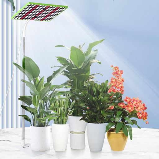 JCBritw100W植物育成ライトスタンド付き自立式フロアLED植物ライト背の高い植物用室内栽培苗木栽培顕花植物栽培向け水耕栽培ランプ野菜工場植物栽培工場温室/園芸に適用
