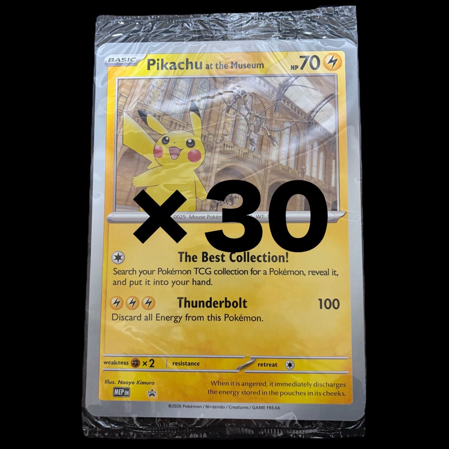 ロンドン　ピカチュウ　プロモ ロンドン自然史博物館コラボ】『Pikachu at the Museum（ピカチュウの