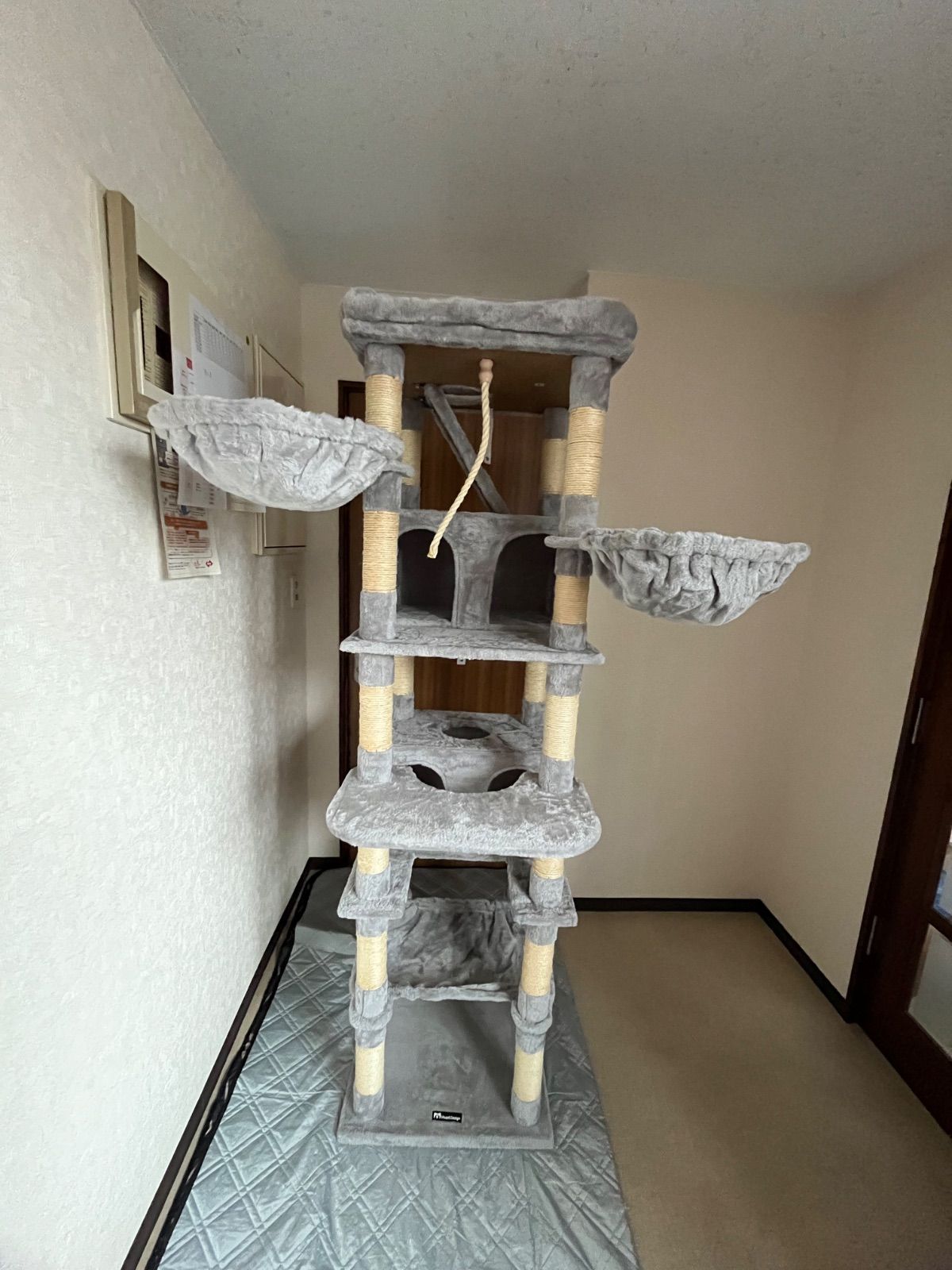 Lifesia多頭飼いキャットタワー 猫タワー 据え置き 52長さ x 52幅 x 190高さ cm 大型猫 TX0063D