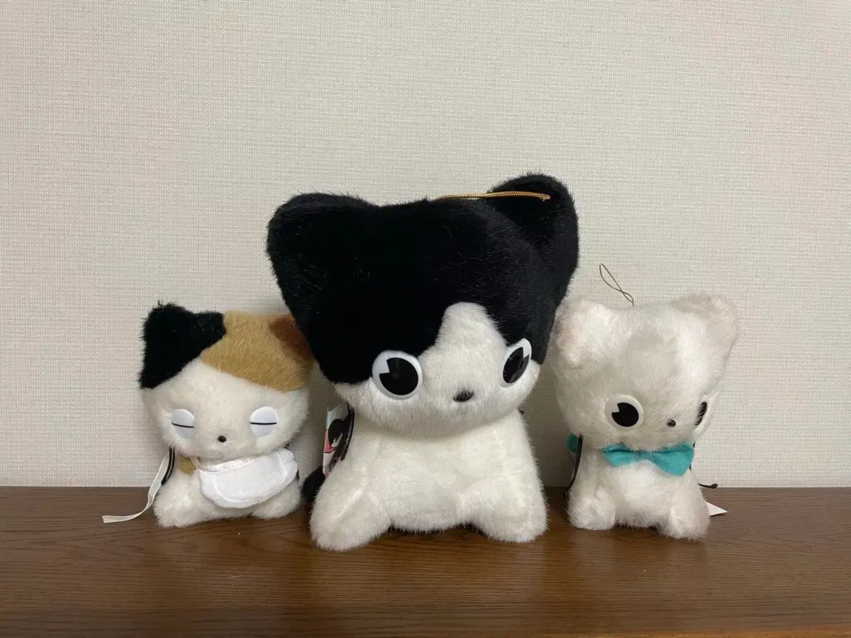 砂海に澄む母猫とペリカン 砂海に澄む母猫とペリカン