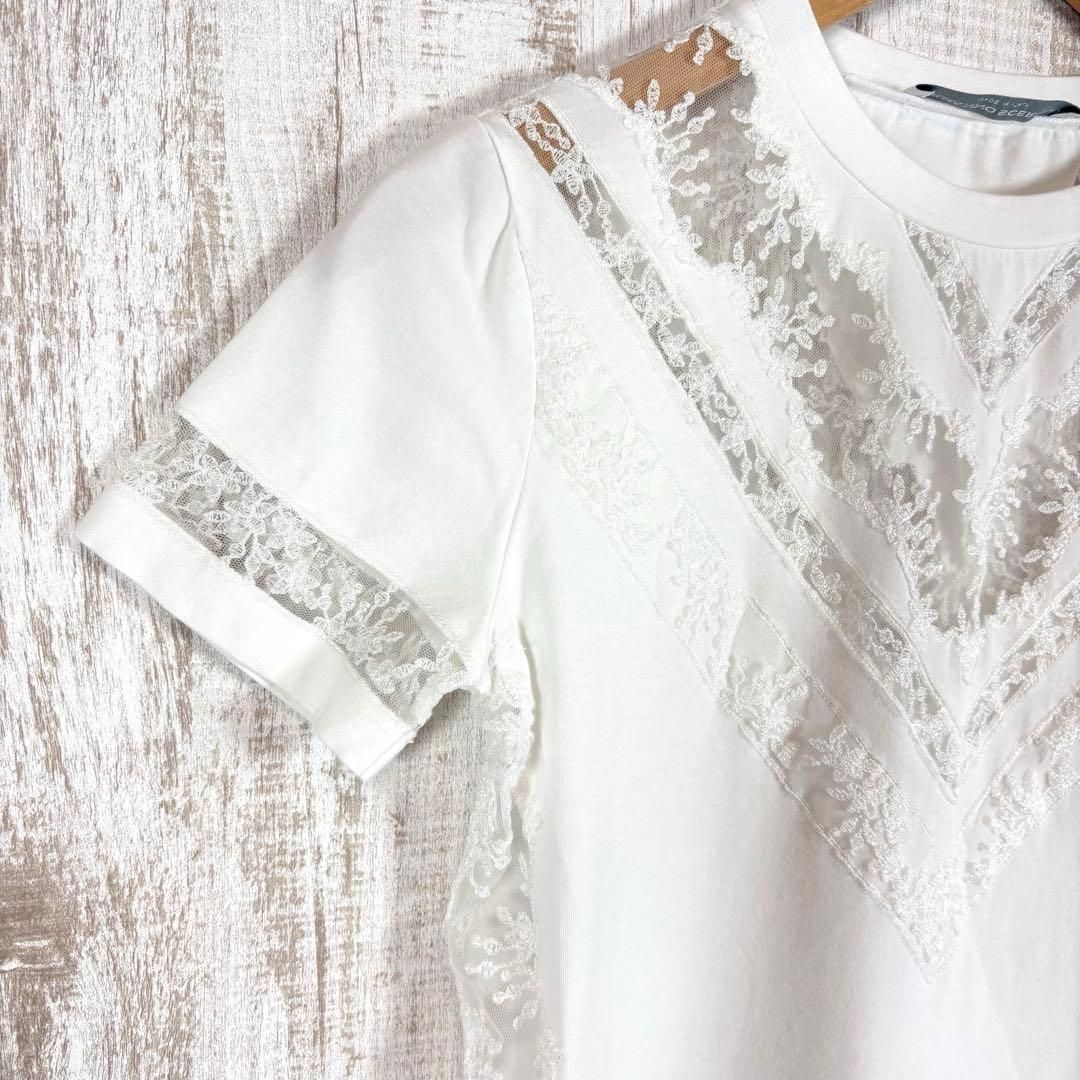 ERMANNO SCERVINO エルマンノシェルヴィーノ シースルー 刺繍 レース