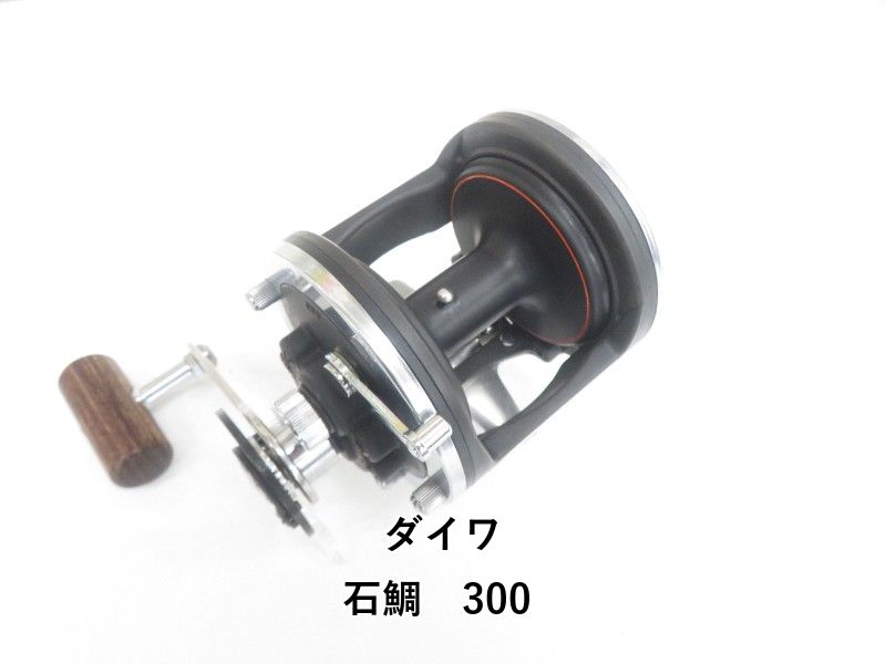 ダイワ 石鯛　300 (04-9404150012)