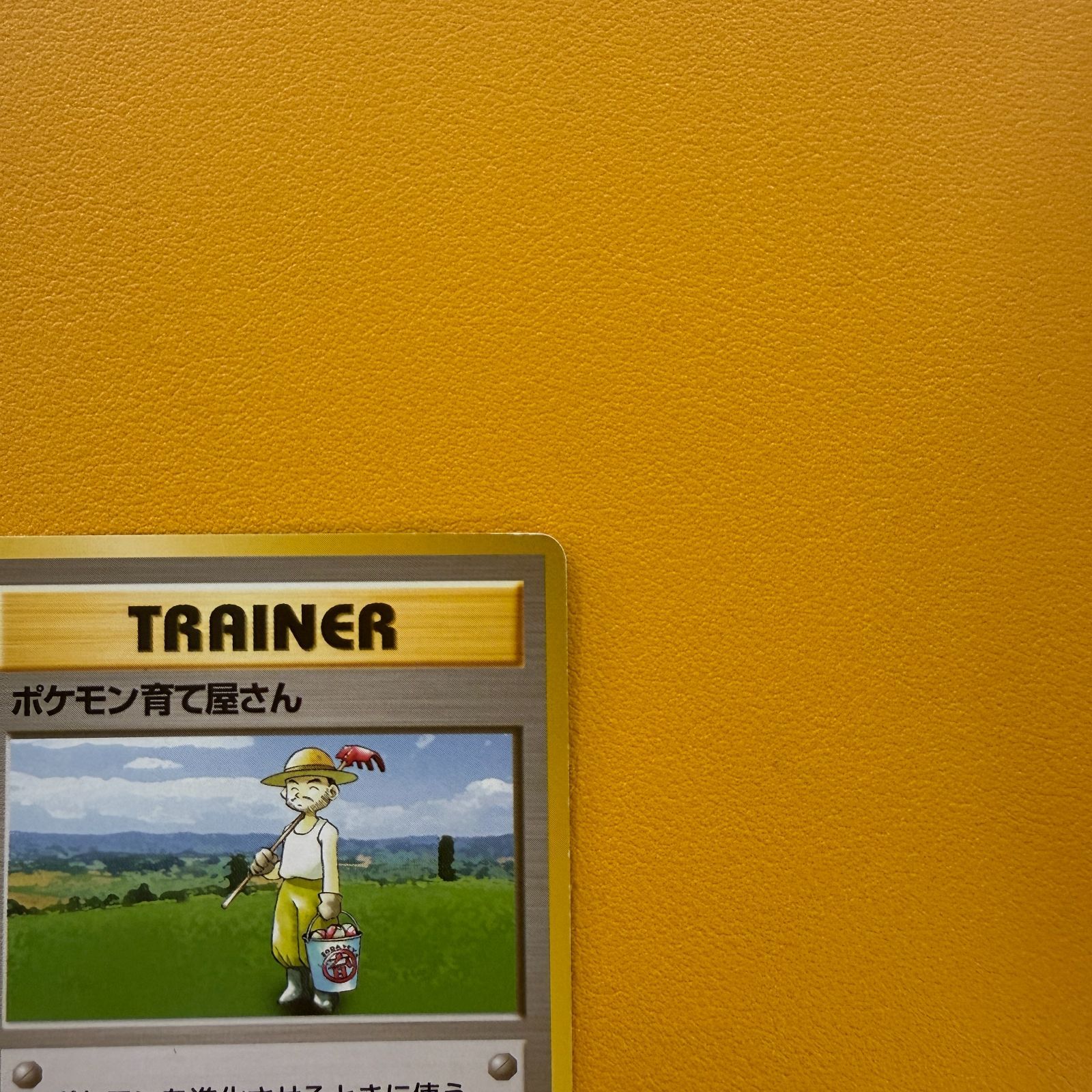 旧裏）ポケモン育て屋さん TRAINER ☆ - メルカリ