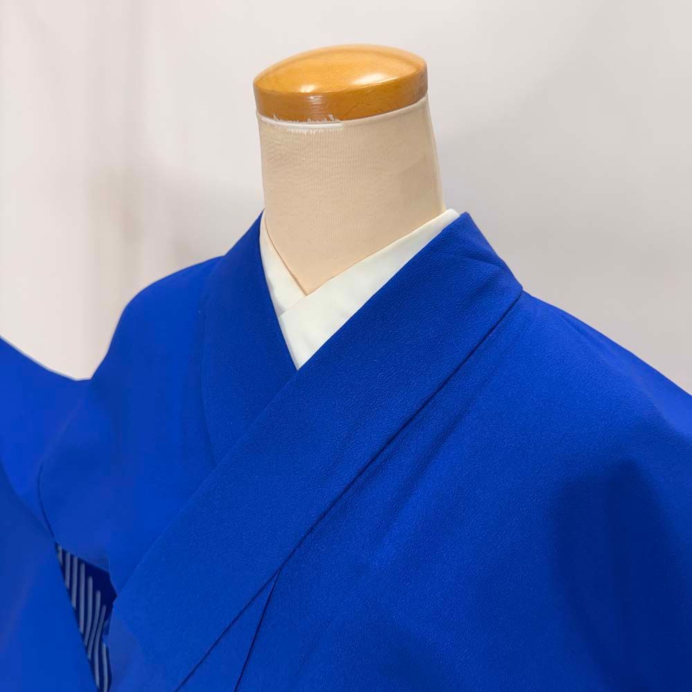 訪問着 付け下げ 単衣 洗える着物 礼装 ポリエステル 裄65cm 身丈159cm M サイズ 水色 グレー  5354 訪問着 付け下げ 単衣 洗える着物 礼装 ポリエステル 裄64.2cm 身丈