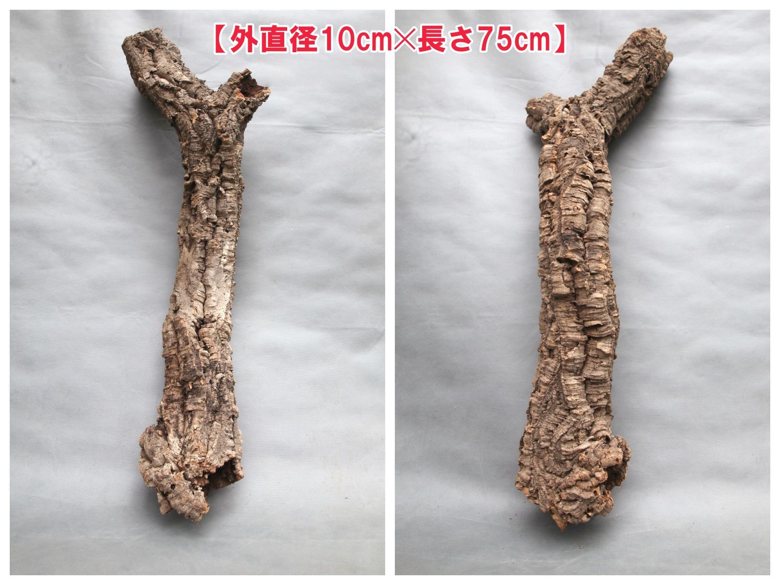 W726 ポルトガル産 キャノンコルク コルク樹皮 コルク板　バージンコルク 高品質　チランジア　ビカクシダ　着生ラン　両生類　爬虫類　コウモリラン　板付　エアープランツ 鳥用おもちゃ 植物用　水槽用　壁飾り　天然素材　DIY　大人気