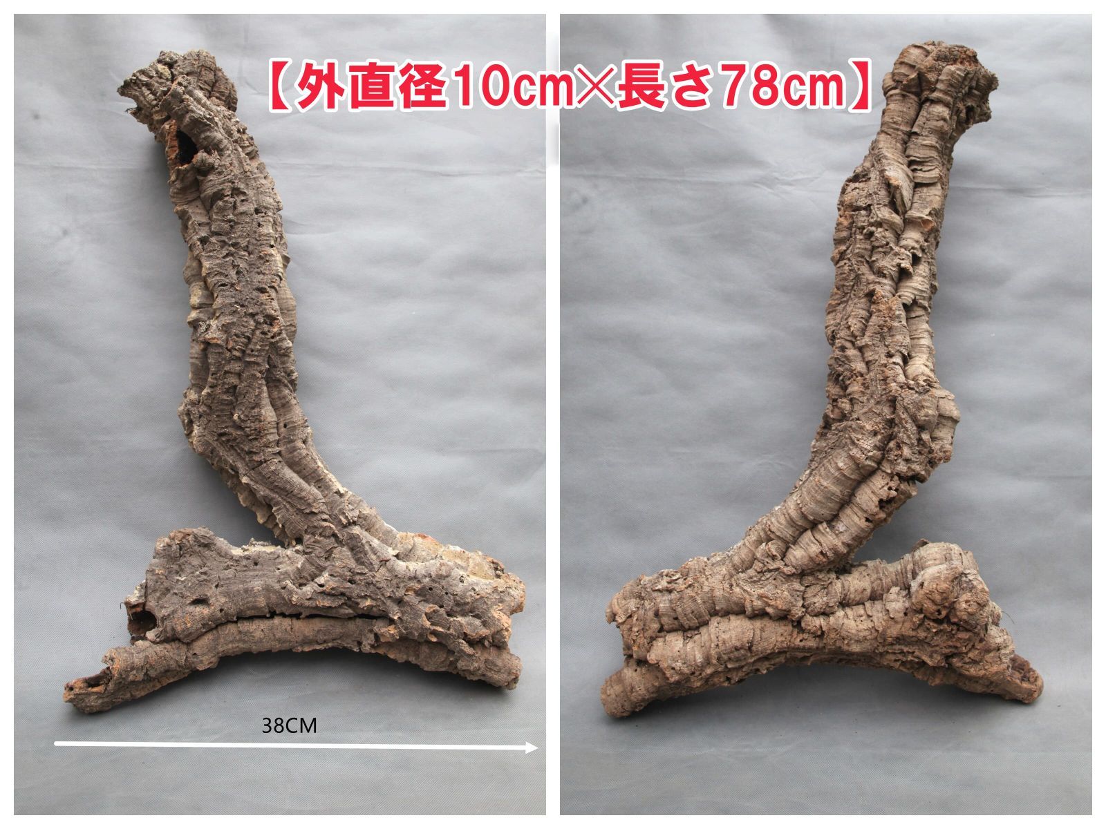 W725 ポルトガル産 キャノンコルク コルク樹皮 コルク板　バージンコルク 高品質　チランジア　ビカクシダ　着生ラン　両生類　爬虫類　コウモリラン　板付　エアープランツ 鳥用おもちゃ 植物用　水槽用　壁飾り　天然素材　DIY　大人気