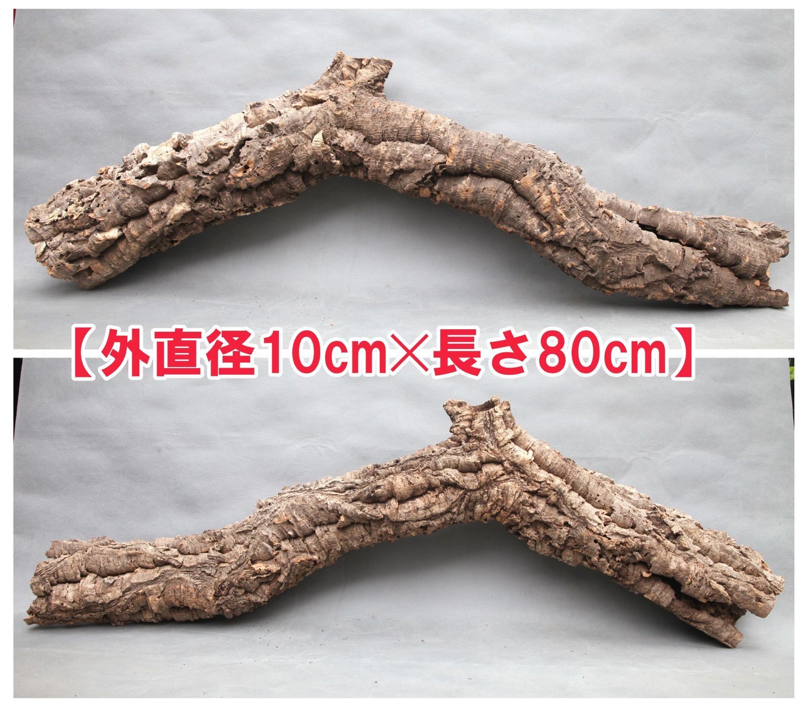 W727 ポルトガル産 キャノンコルク コルク樹皮 コルク板　バージンコルク 高品質　チランジア　ビカクシダ　着生ラン　両生類　爬虫類　コウモリラン　板付　エアープランツ 鳥用おもちゃ 植物用　水槽用　壁飾り　天然素材　DIY　大人気