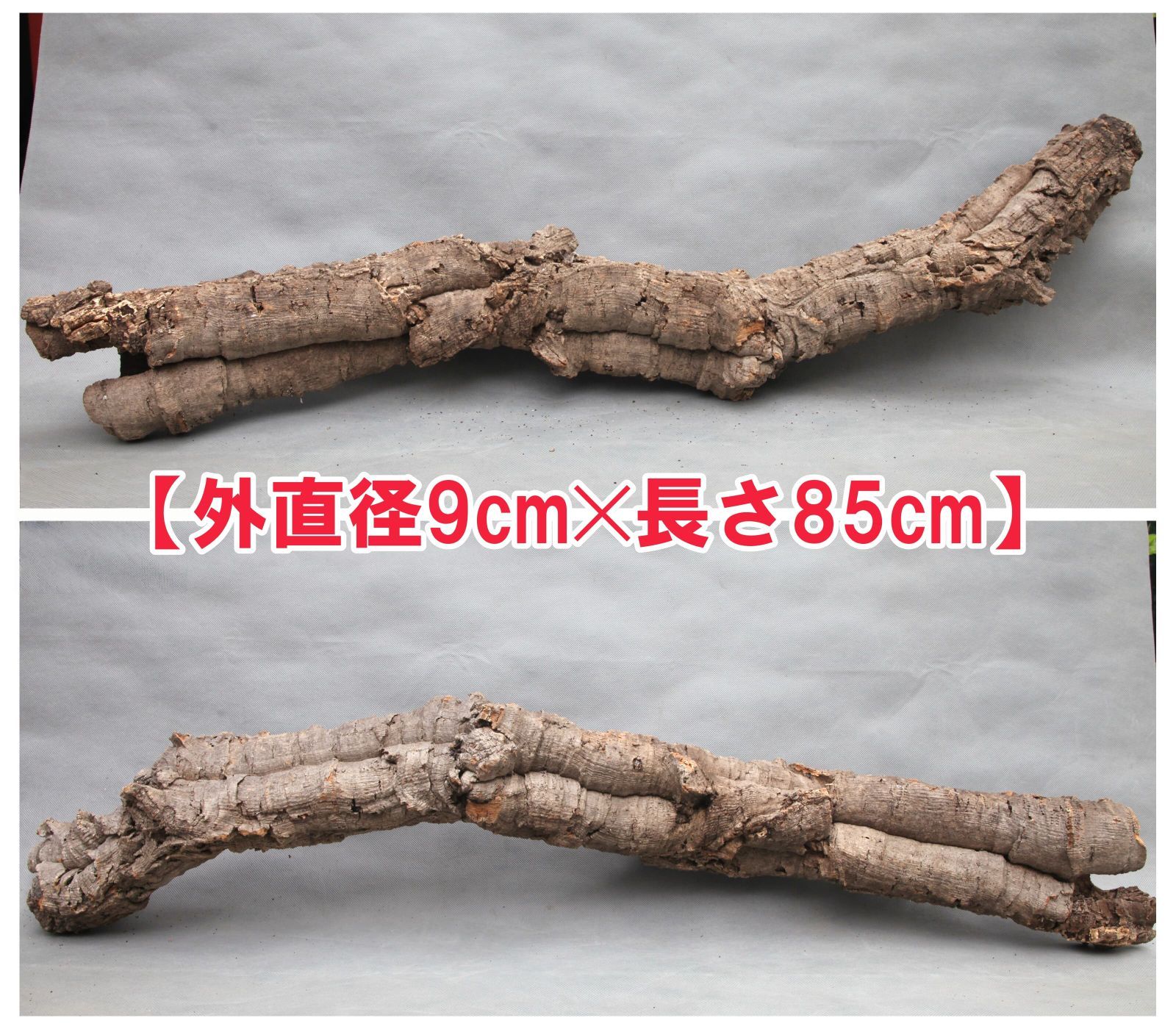 W728 ポルトガル産 キャノンコルク コルク樹皮 コルク板　バージンコルク 高品質　チランジア　ビカクシダ　着生ラン　両生類　爬虫類　コウモリラン　板付　エアープランツ 鳥用おもちゃ 植物用　水槽用　壁飾り　天然素材　DIY　大人気