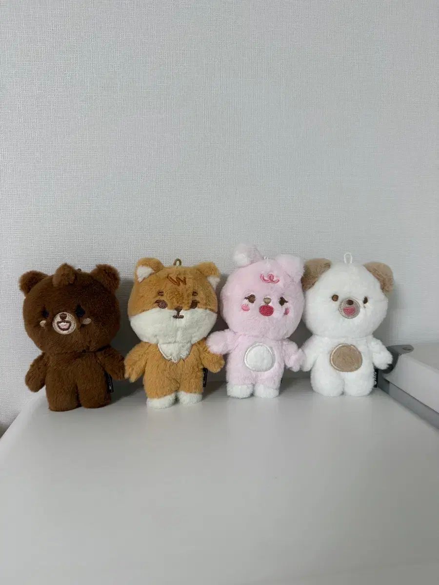 DAY6（デイシックス）プチあんさんぶるスターズ！！(あんスタ) まとめ 
