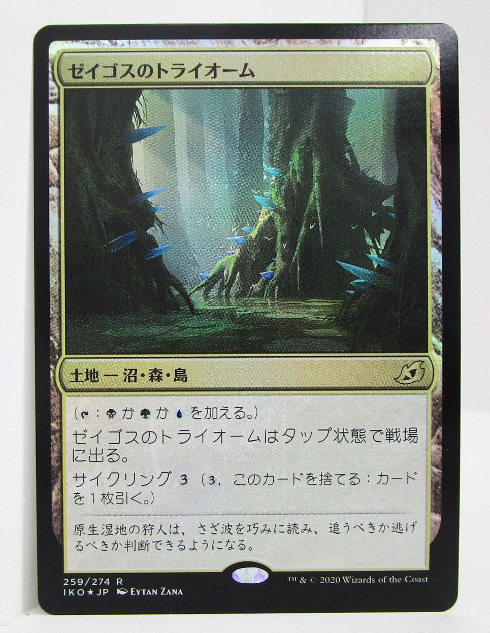 【ご確認用】オデッセイ foil 沼(339) 日本語 1枚 HP寄り　MTG Foil | Prophecy - Japanese | Star City Games