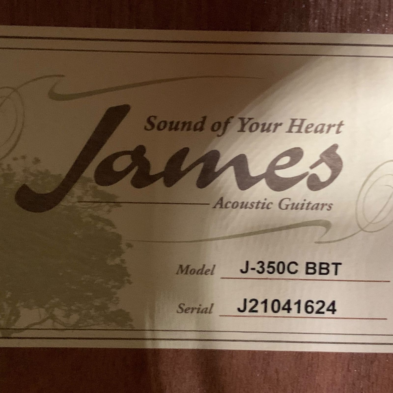 □James J-350C BBT アコースティックギター カッタウェイ サン 