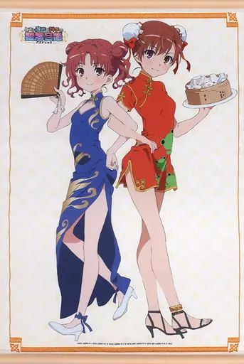 [Used] Tapestry Misaka Mikoto & Shirai Kuroko Double Suede B2 Tapestry “A Certain Magical and Scientific Mysteries Solved Inventory”
