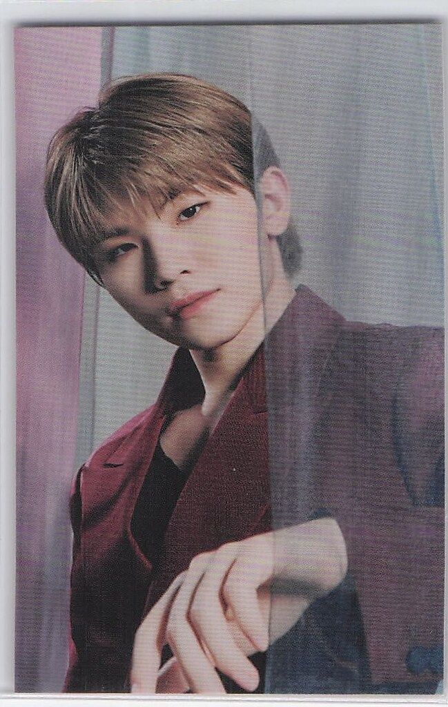 SEVENTEEN ミニラゲッジバッグ特典 WOOZI 2021 POWER OF LOVE - メルカリ