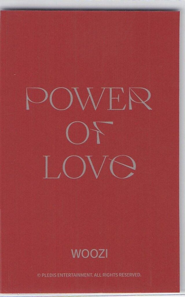 セブチ ミニラゲッジバック poweroflove SEVENTEEN ミニラゲッジバッグ特典 WOOZI 2021 POWER OF LOVE - メルカリ