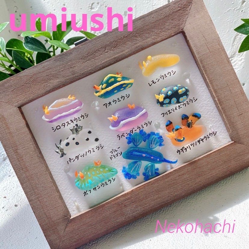 ウミウシ図鑑♡9種❣️3800円　ガラスアート　シーグラスアート　海ギフト あき様専用 ウミウシ図鑑9種❣️シーグラスアート お魚立体図鑑
