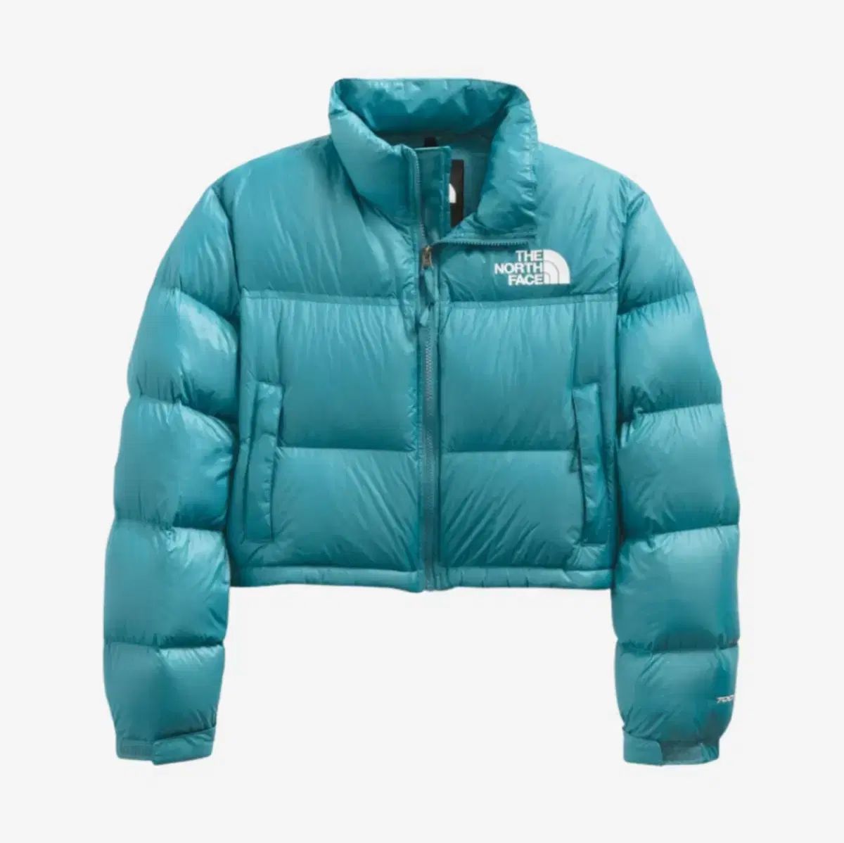 海外モデル THE NORTH FACE ザノースフェイス ヌプシ ショートダウン 
