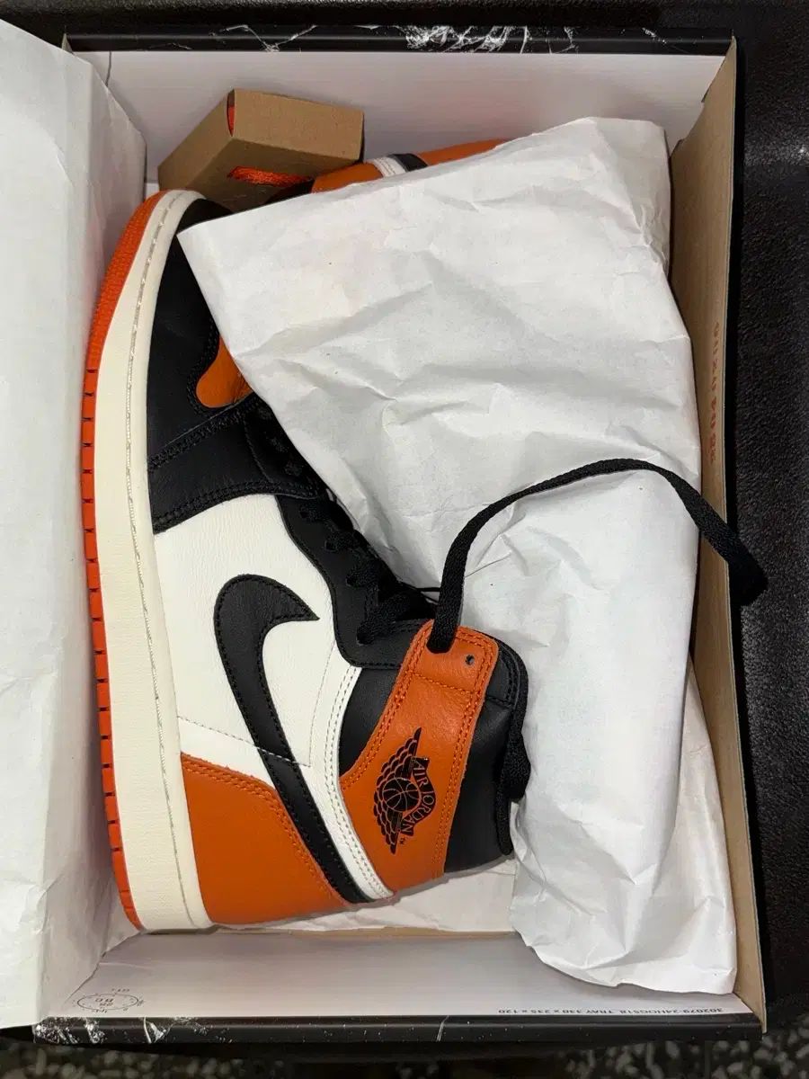 メンズ ナイキ エア ジョーダン 1 ハイ OG Shattered Backboard