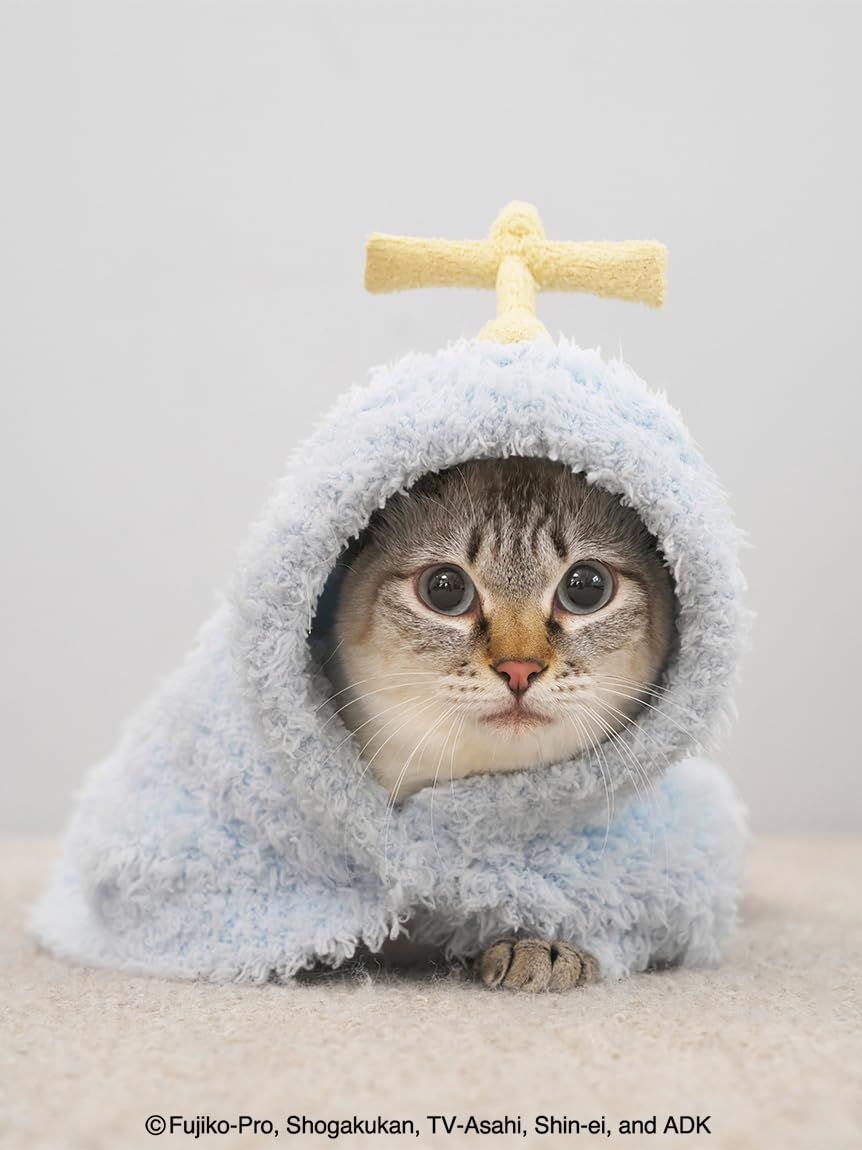 [ジェラートピケ キャットアンドドッグ]【ドラえもん】【CAT&DOG】ジェラートケープ PAGG261500 BLU L