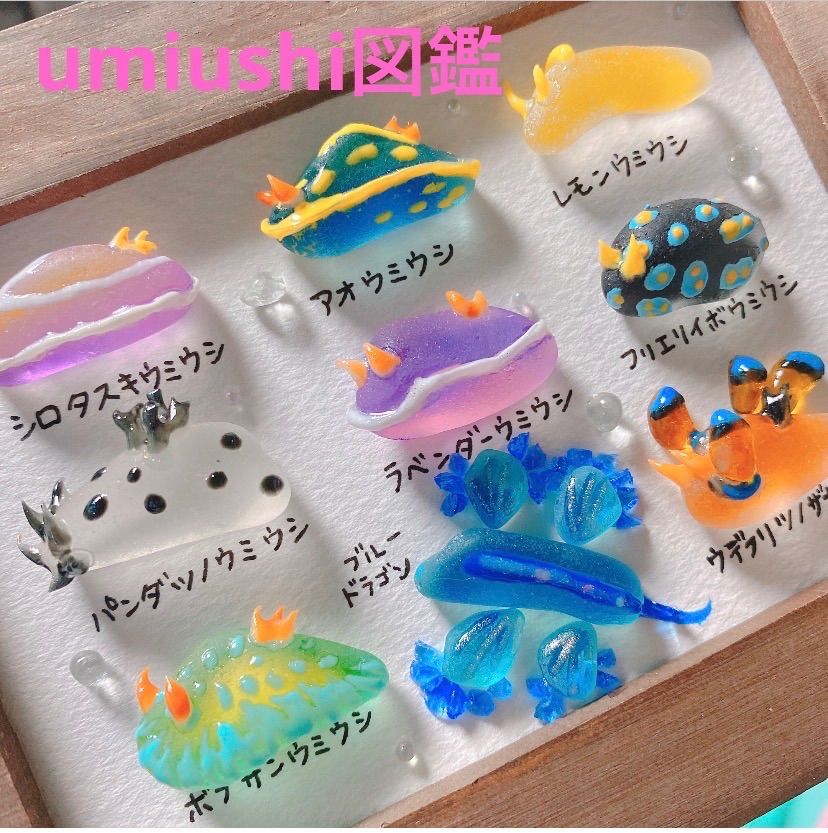 クーポンあり❣️ウミウシ図鑑9種❣️シーグラスアート お魚立体図鑑