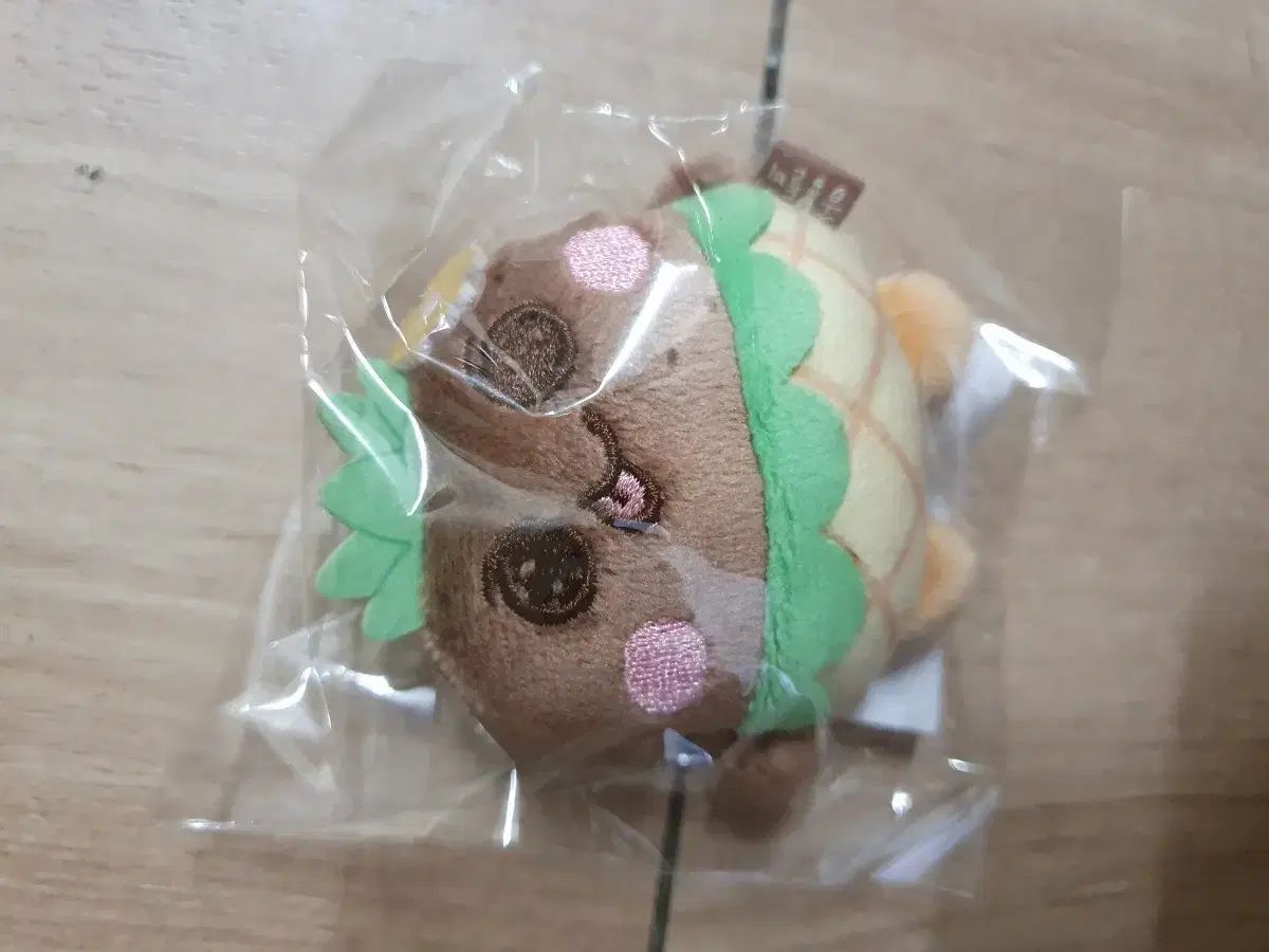 RIIZE ライズ ポップアップ キーホルダー 0 ぬいぐるみ 第2弾 popup 