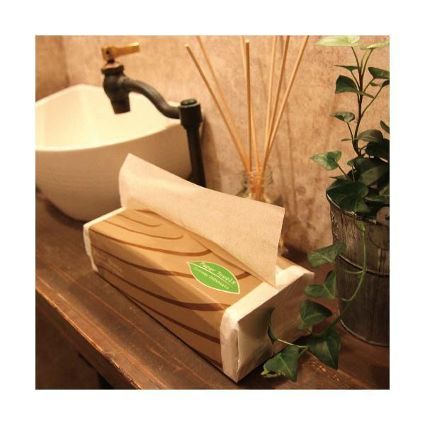 （まとめ）TANOSEE ペーパータオルアースカラー（エコノミー）200枚/パック 1セット（5パック）〔×10セット〕