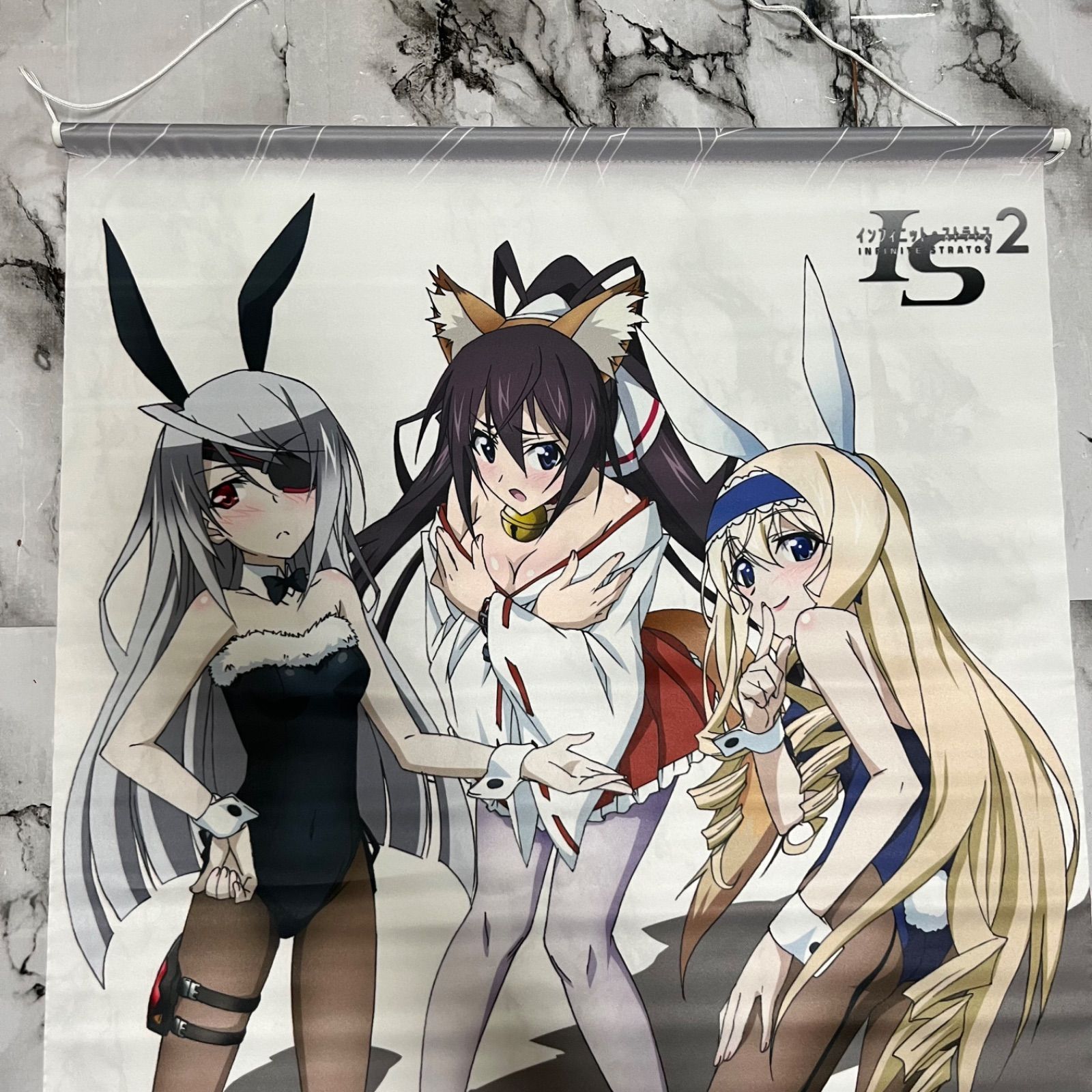 IS インフィニット・ストラトス 箒＆セシリア＆ラウラ B2タペストリー 
