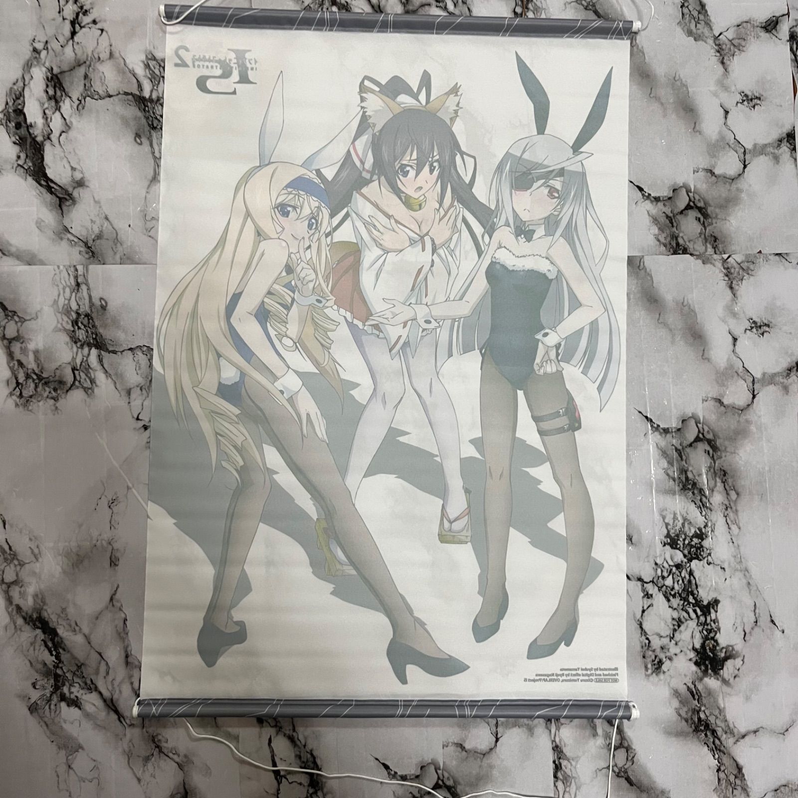 IS インフィニット・ストラトス 箒＆セシリア＆ラウラ B2タペストリー 