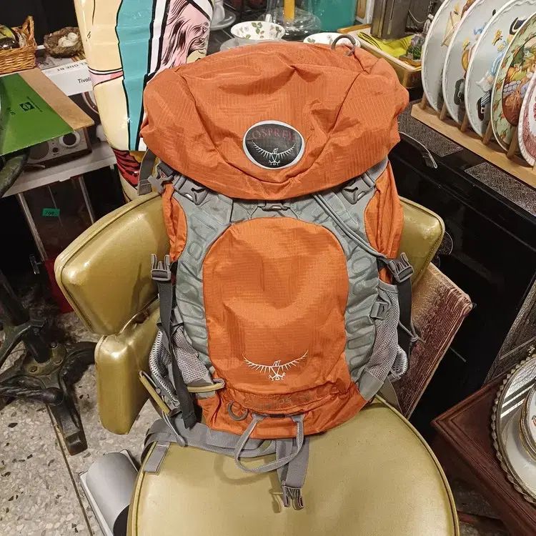 オスプレイ(OSPREY) ストラトス26 登山リュック